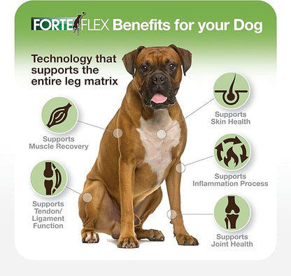 K9 Joint & Hip Supplement for Dogs – Hip Dysplasia, Joint Stiffness, Anti-Inflammatory & Mobility Support – Serrapeptase, Glucosamine, Chondroitin, Collagen & HA for Senior & Active Dogs