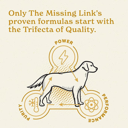 The Missing Link Skin & Coat + Probiotics Supplement 5lb Bag - Powerful Superfood Powder for Dogs Supports Healthy Skin & Glossy Coat, Promotes Hair Growth
