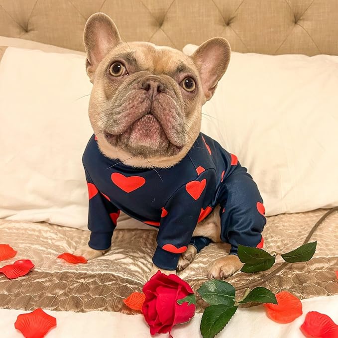 Spark Paws Dog Pajama, Dog Recovery Suit Male, Onesie, Ultra-Soft and 4-Way Stretch, for Small Medium and Large Breeds - Hearts - 2XL