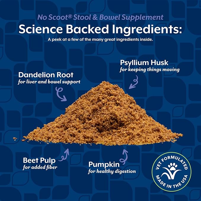 NaturVet - No Scoot for Dogs - Plus Pumpkin - Supports Healthy Anal Gland & Bowel Function - Enhanced with Beet Pulp & Psyllium Husk (5.4oz Powder)