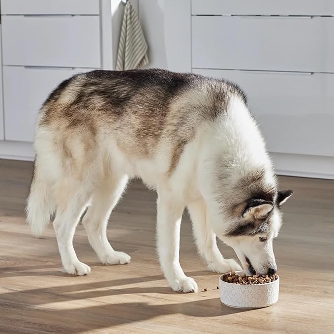 Open Farm, RawMix Grain-Free Dry Dog Food, Protein-Packed Kibble Coated in Bone Broth with Freeze Dried Raw Chunks, Pollock Beef & Salmon, Tide & Terrain Recipe, 3.5lb Bag