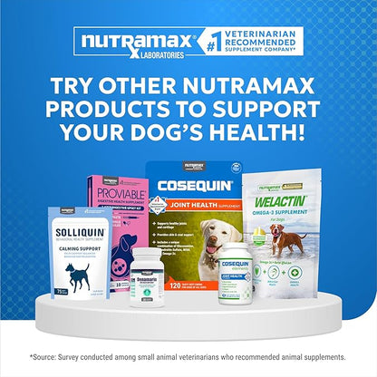 Nutramax Cosequin Elements Dog Joint Health Supplement with Glucosamine, Green Lipped Mussel, Omega-3s, Eggshell Membrane, Hyaluronic Acid, & Postbiotics, 75 Tasty Chewable Tablets for Dogs