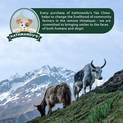 Authentic Himalayan Yak Cheese for Dogs - XXLarge (Pack of 1) - Sourced from Pristine Himalayan Foothill, Rawhide-Free, NO preservatives