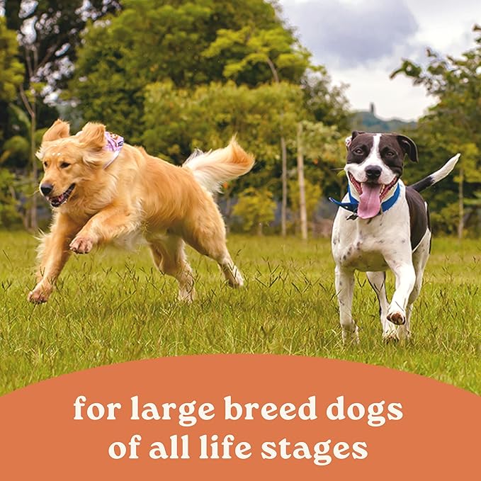 Canidae All Life Stages Dry Dog Food, Large Breed Multi-Protein Recipe, 40 lbs.
