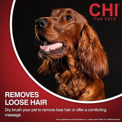 CHI for Dogs Detangling Grooming Glove - Dual-Sided Pet Glove for Wet or Dry Use - Dog Hair Remover and Deshedding Mitt for Gentle Brushing and Massaging - One Size Fits All