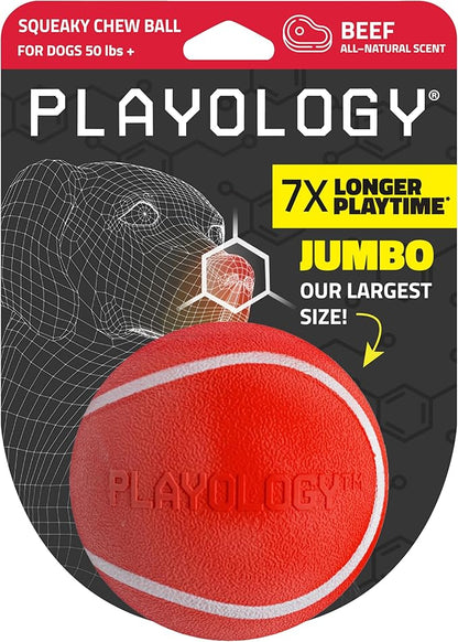Playology Dog Toys | Squeaky Chew Ball - Bouncy Durable Floating Fetch Ball for Dogs | Jumbo Beef Scented Toy - Easy to Clean and Made from Non Toxic Materials