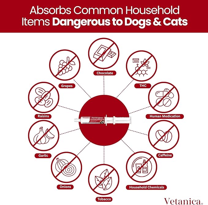 PawMergency – Activated Charcoal First Aid Kit Emergency Rescue for Dogs, Cats, Puppy & Pet Poisoning Kit, Camping Survival Remedy Essential, Oral Anti Diarrhea Digestive Paste Ready to Absorb Toxins