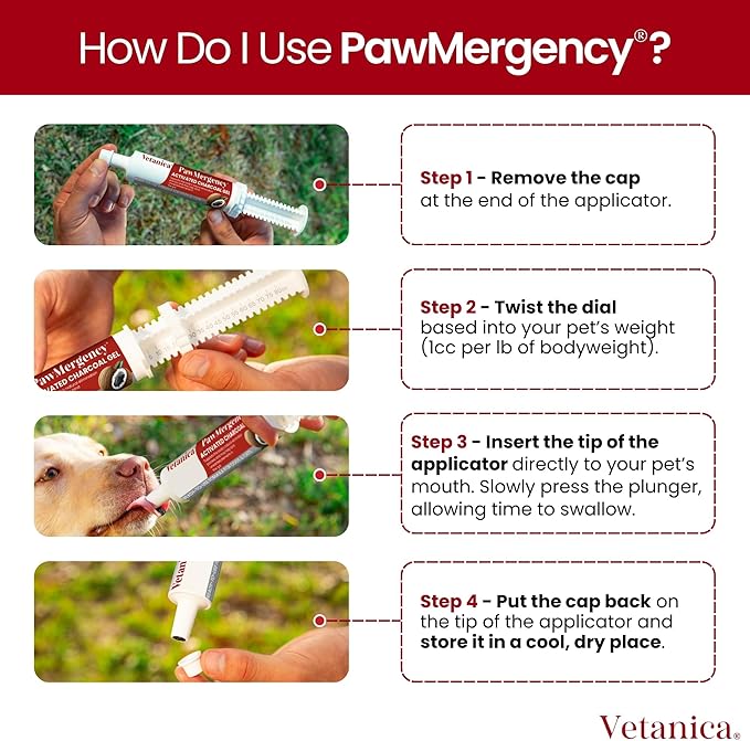 PawMergency – Activated Charcoal First Aid Kit Emergency Rescue for Dogs, Cats, Puppy & Pet Poisoning Kit, Camping Survival Remedy Essential, Oral Anti Diarrhea Digestive Paste Ready to Absorb Toxins