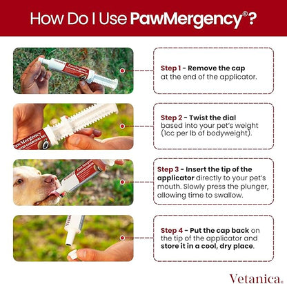PawMergency – Activated Charcoal First Aid Kit Emergency Rescue for Dogs, Cats, Puppy & Pet Poisoning Kit, Camping Survival Remedy Essential, Oral Anti Diarrhea Digestive Paste Ready to Absorb Toxins