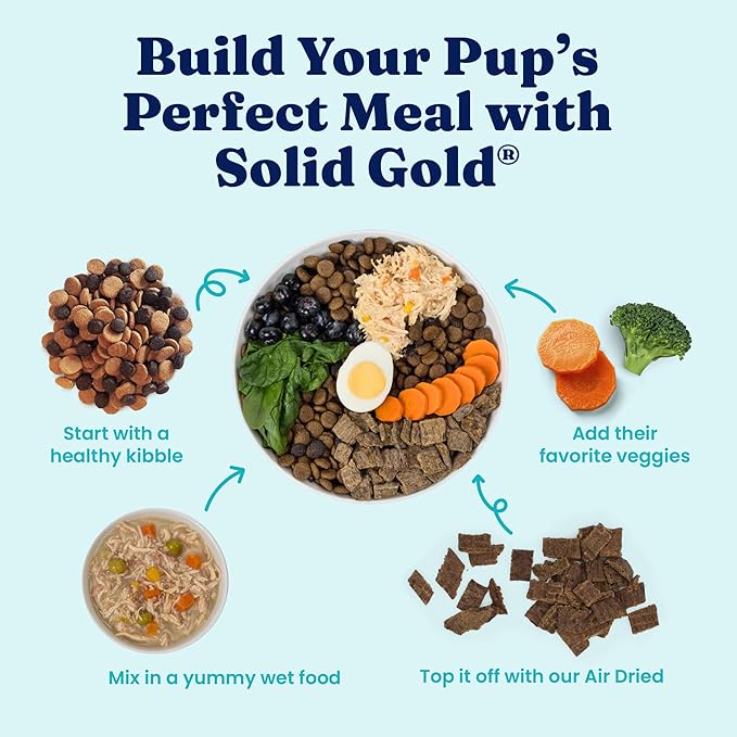Solid Gold Wet Dog Food Topper & Meal Cups - W/Chicken, Beef & Pumpkin for Sensitive Stomachs, Gut Health & Digestive System Support - for Adult & Senior Small Breed & Large Breed Dogs - 3.5oz/6 Pack