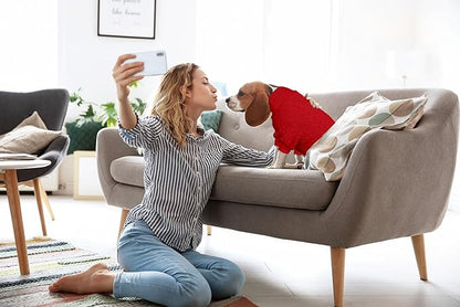 Dog Sweater Turtleneck Knitted Pet Clothes Solid Color Puppy Sweater Warm Dog Sweaters for Small Dogs(Red&S)