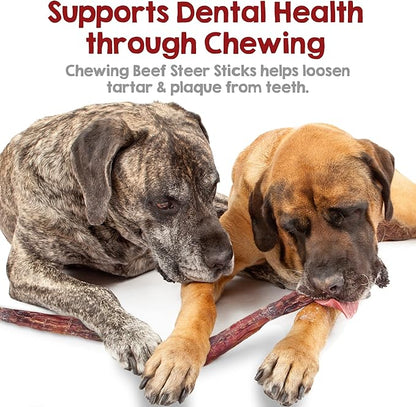 Riley's Steer Bully Sticks for Large to XL Dog Breeds - Odor Free, Single Ingredient Treat - Easily Digestible, 100% Beef Pizzle Sticks for Dogs - 12", 5ct