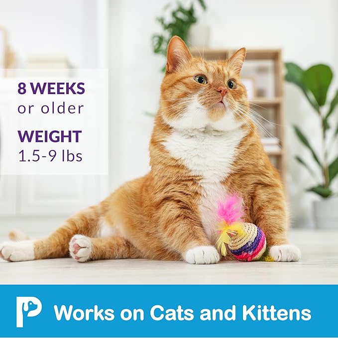 Flea and Tick Prevention for Cats & Kittens: Waterproof Topical Cat Flea and Tick Treatment – Fast-Acting & Long-Lasting At Home Flea Control for Cats Over 1.5 lbs and 8 Weeks or Older – 6 Dose Supply