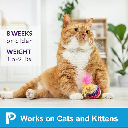 Flea and Tick Prevention for Cats & Kittens: Waterproof Topical Cat Flea and Tick Treatment – Fast-Acting & Long-Lasting At Home Flea Control for Cats Over 1.5 lbs and 8 Weeks or Older – 6 Dose Supply