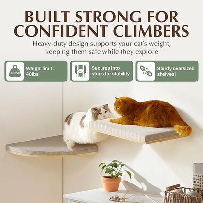 Extra Large 31.5" x 20" CALLICO HAVEN- Corner Cat Wall Shelf, Modern Wall Cat Bed, Corner Wall Hammock for Cats, Space-Saving Wall Cat Tree Bed, Sturdy/Hidden Mounts, Washable Cover- Fan Shape