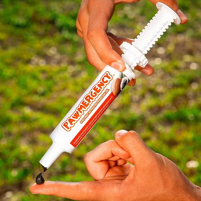 PawMergency – Activated Charcoal First Aid Kit Emergency Rescue for Dogs, Cats, Puppy & Pet Poisoning Kit, Camping Survival Remedy Essential, Oral Anti Diarrhea Digestive Paste Ready to Absorb Toxins