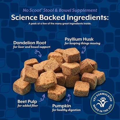 NaturVet - No Scoot for Dogs - 60 Soft Chews - Plus Pumpkin - Supports Healthy Anal Gland & Bowel Function - Enhanced with Beet Pulp & Psyllium Husk