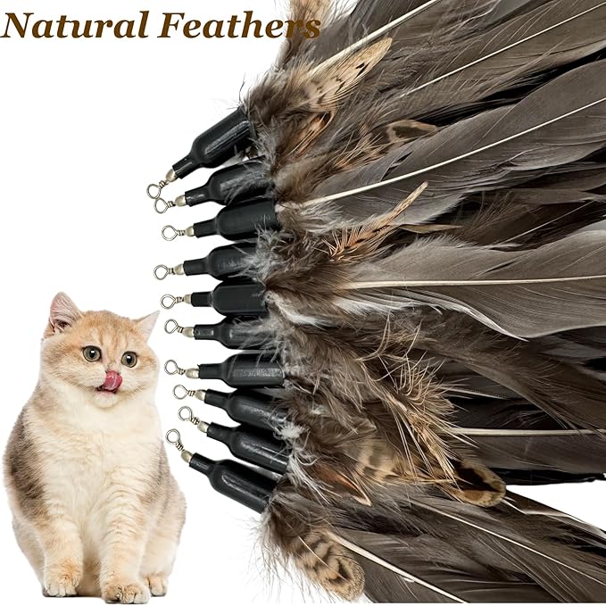 Cat Feather Toys Refills, 10 Pieces Natural Da Bird Feathers Refills, Cat Wand Replacement Feathers for Cat Toy