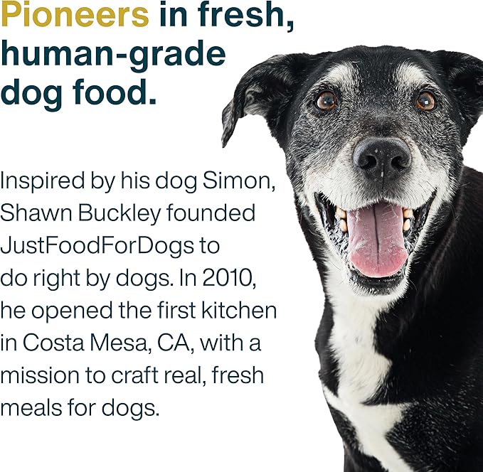 JustFoodForDogs JustFresh Wet Dog Food, Fresh Pet Meals and Toppers with No Preservatives, Resealable Package, Human Grade, Home-Cooked Beef, 12 oz - 7 Pack