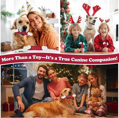 10-Pack Tough Dog Toys, Toys for Aggressive Chewers Large Breed, Chew Dogs, Bone Toy Nylon Dogs Almost Indestructible