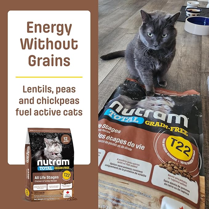 T22 Grain-Free Cat Food – Chicken & Turkey Dry Kibble | Holistic andHigh Protein, Urinary Support, Clean Nutrition for Adult Cats & Kittens | Supports a Strong Immune System (4.4 Pounds)