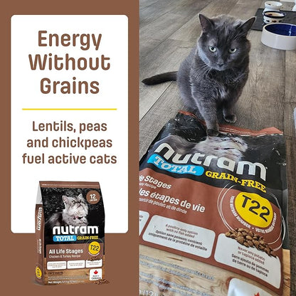 T22 Grain-Free Cat Food – Chicken & Turkey Dry Kibble | Holistic andHigh Protein, Urinary Support, Clean Nutrition for Adult Cats & Kittens | Supports a Strong Immune System (4.4 Pounds)