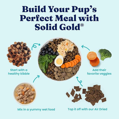 Solid Gold Wet Dog Food for Small Dogs - Grain Free Small Dog Food Wet Recipe w/Real Lamb, Superfoods & Vitamins for Gut Health & Immune Support - for Puppies, Adult & Senior Breeds - 12ct 3.5oz Cups
