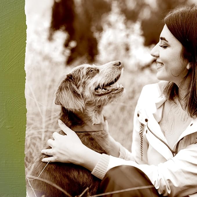 Caledon Farms Homestyle Chicken Jerky 7.41oz, Dog Treats, All Natural