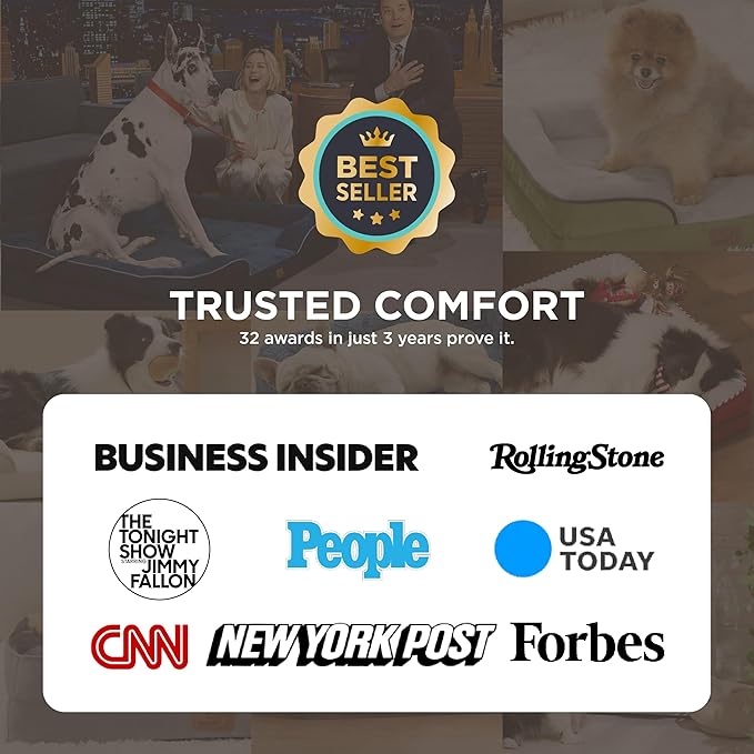 Bedsure Orthopedic Dog Beds for Small Dogs - Washable Small Dog Cat Bed Waterproof, Comfort Pet Couch Sofa with Washable Removable Cover, Pets Bed with Nonskid Bottom, Black, 24"