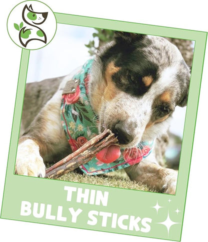 Nature Gnaws Thin Bully Sticks for Dogs 5-6" (1Lb) - Mixed Thickness - Long Lasting for Small Dogs and Puppies - Natural Thin Beef Dog Chew Bones - Rawhide Free