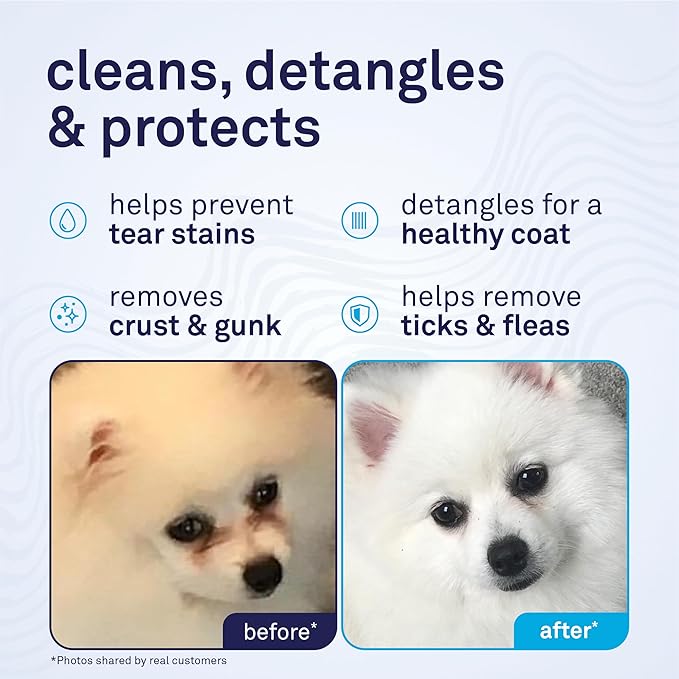 Petpost Tear Stain Remover Comb for Dogs | Extra Fine Stainless Steel Dog Eye Comb | Gentle Grooming Tool for Shih Tzu, Maltese & Small Breeds | Dog Face Comb for Eye Cleaning