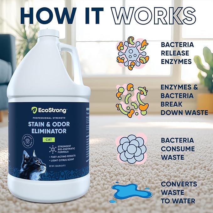 Eco Strong Cat Stain And Odor Remover| Enzyme Urine Odor Neutralizer - Stain Remover for Carpet, Litter Boxes, Bedding, and Laundry [Citrus Scent Gallon Value Size]
