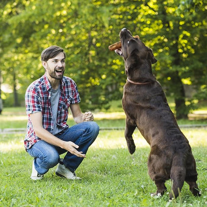 Wildfang® Olive Wood Chewing Sticks for Dogs, Medium - Tough Chew Toys for Aggressive Chewers, Puppy Chew Toys for Teething, Training for Chewing Muscles, Olive Wood Stick for Dog (33-55lbs), 3pack