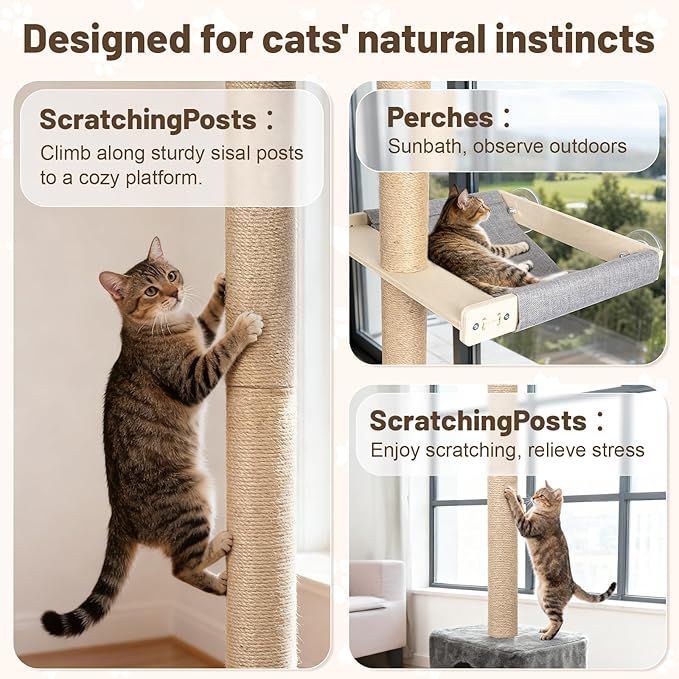 XiaZ Cat Window Perch with Tall Scratching Post, 58" Cats Window Hammock with Cat Condo, Multi-Level Cats Scratching Post for Climbing, Sleeping & Watching Birds