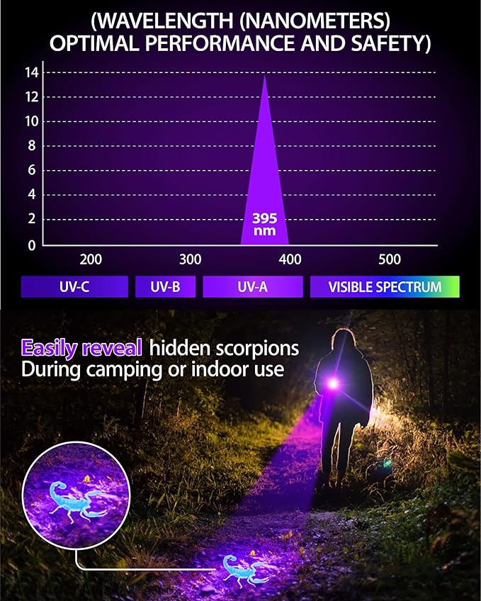 Black Light Flashlight, UV Light USB C Rechargeable with LCD Display, Zoomable Woods Lamp 2N1, 395NM Blacklight for Pet Urine Detection, Resin Curing, Rocks, Travel, Minerals, Scorpion, Glass, Leak