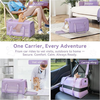 PETSFIT Cat Car Carrier for Medium Cats Dogs, 19"x12"x12" Small Dog Carrier, with Patent Safety Buckles and Escape-Proof Zipper - Safeguarding Car Travel, Vet Visit, Outdoor