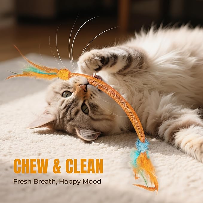 Catnip Toys for Cats – 6-Pack Feather Mesh Tubes with Bells, Interactive Chew Set for Indoor Cats & Kittens