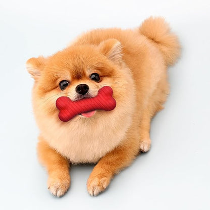 Playology Dog Toys | Dual Layer Bone Chew Toy Bone for Dogs (Value 3-Pack) | Small Beef Scented Toy - Easy to Clean and Made from Non Toxic Materials