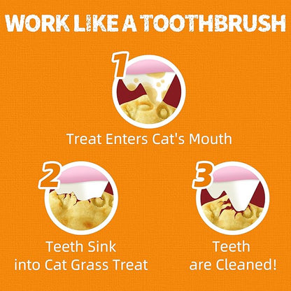 Just Try 13.4 OZ Pumpkin Cat Treats Cat Constipation Relief Hairball Control Healthy Salmon Snacks Training Biscuits Treats for Digestive Support Low Calorie Kitten Snacks