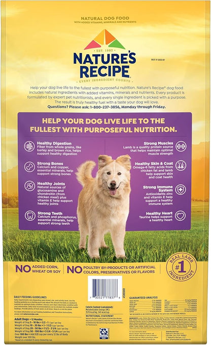 Nature′s Recipe Lamb, Barley & Brown Rice Recipe Dry Dog Food, 24 lb. Bag