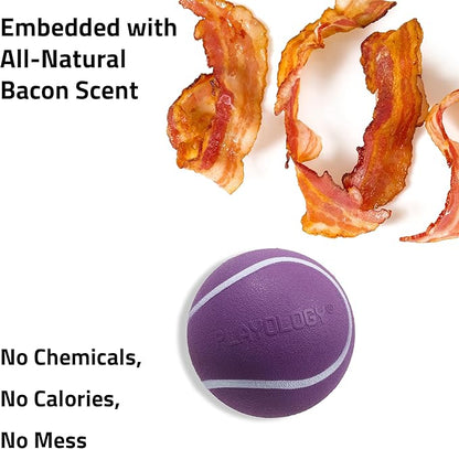 Playology Dog Toys | Squeaky Chew Ball - Bouncy Durable Floating Fetch Ball for Dogs, Value 2-Pack | Medium Bacon Scented Toy - Easy to Clean and Made from Non Toxic Materials