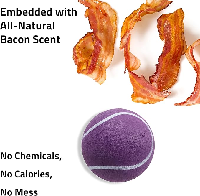 Playology Dog Toys | Squeaky Chew Ball - Bouncy Durable Floating Fetch Ball for Dogs | Medium Bacon Scented Toy - Easy to Clean and Made from Non Toxic Materials