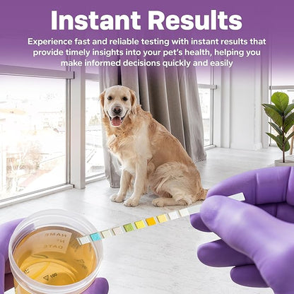 One Step Pet Urine Testing Strips, 5 x Urinalysis 10 Parameter Tests, Re-sealable Foil Pouch, Urine pH Test Strips for Dogs, Cats, Accurate Testing for UTI, Bladder & More, Pet Glucose Monitoring Kit