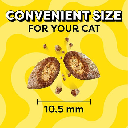 Temptations Classic Crunchy and Soft Cat Treats, Savory Salmon Flavor, 6.3 oz. Pouch (Pack of 10)