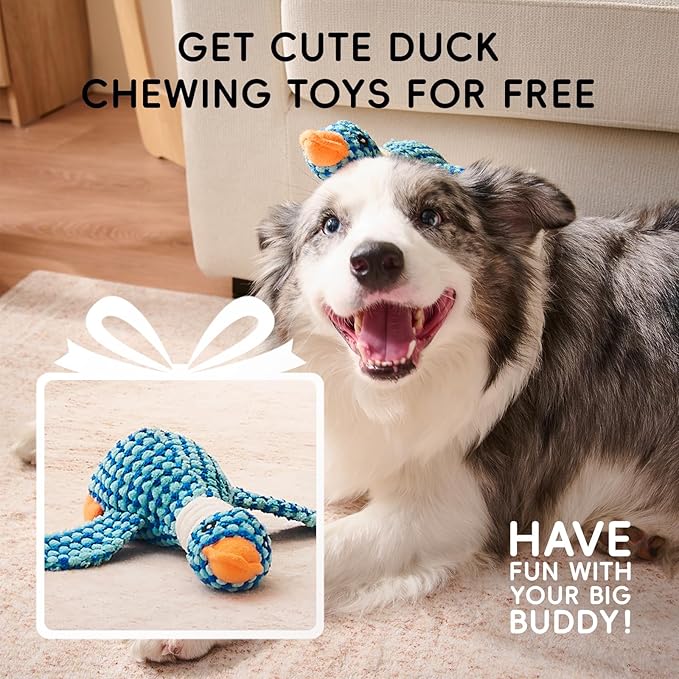 Homemate Dog Beds Large Sized Dog: 36x27 inch Orthopedic Large Dogs Bed XL Outdoor Pet Cat Bed Sofa Supplies with Toy Dogs Crate Pad Couch with Removable Washable Cover & Non-Slip Botton Light Grey