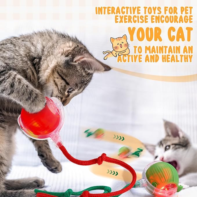 6 Pack Interactive Cat Ball Toy 360° Automatic New Interactive Rolling Ball Rechargeable for Christmas Indoor Cat Dog Gifts Exercise Electric Self Rolling Toy Large and Small Puppy Kitten