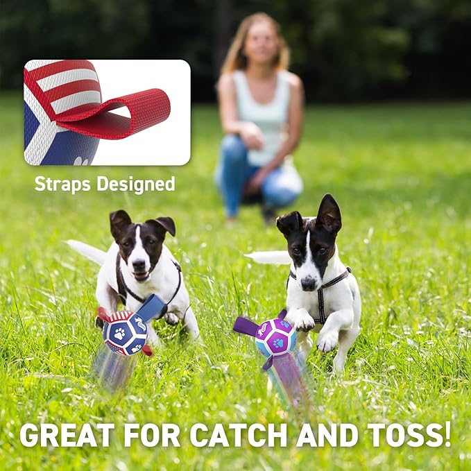 QDAN 2 Pack Small Dog Toys, Puppy Balls, Dog Balls with Straps for Small Breed, Soccer Ball for Dogs, Puppy Toys, Dog Birthday Gift (3.5 Inch)