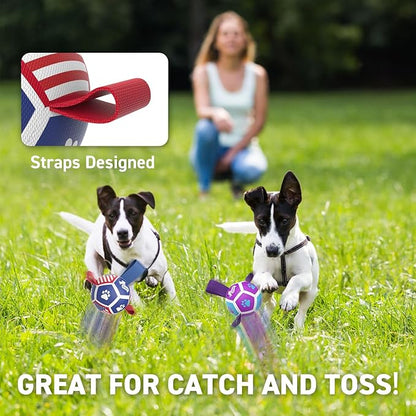 QDAN 2 Pack Small Dog Toys, Puppy Balls, Dog Balls with Straps for Small Breed, Soccer Ball for Dogs, Puppy Toys, Dog Birthday Gift (3.5 Inch)