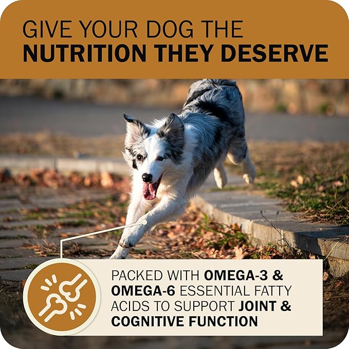 Redbarn Powerfood Fusion Air Dried Kibble Blend – Grain Free Sky Chicken Recipe – Made in USA Dry Dog Food for All Lifestages with Superfoods, Prebiotics, Postbiotics - 20lb Bag