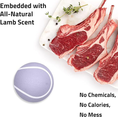 Playology Dog Toys | Squeaky Chew Ball - Bouncy Durable Floating Fetch Ball for Dogs | Medium Lamb Scented Toy - Easy to Clean and Made from Non Toxic Materials